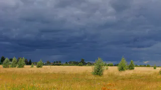 О погоде в Рязани - чем запомнится последняя неделя апреля