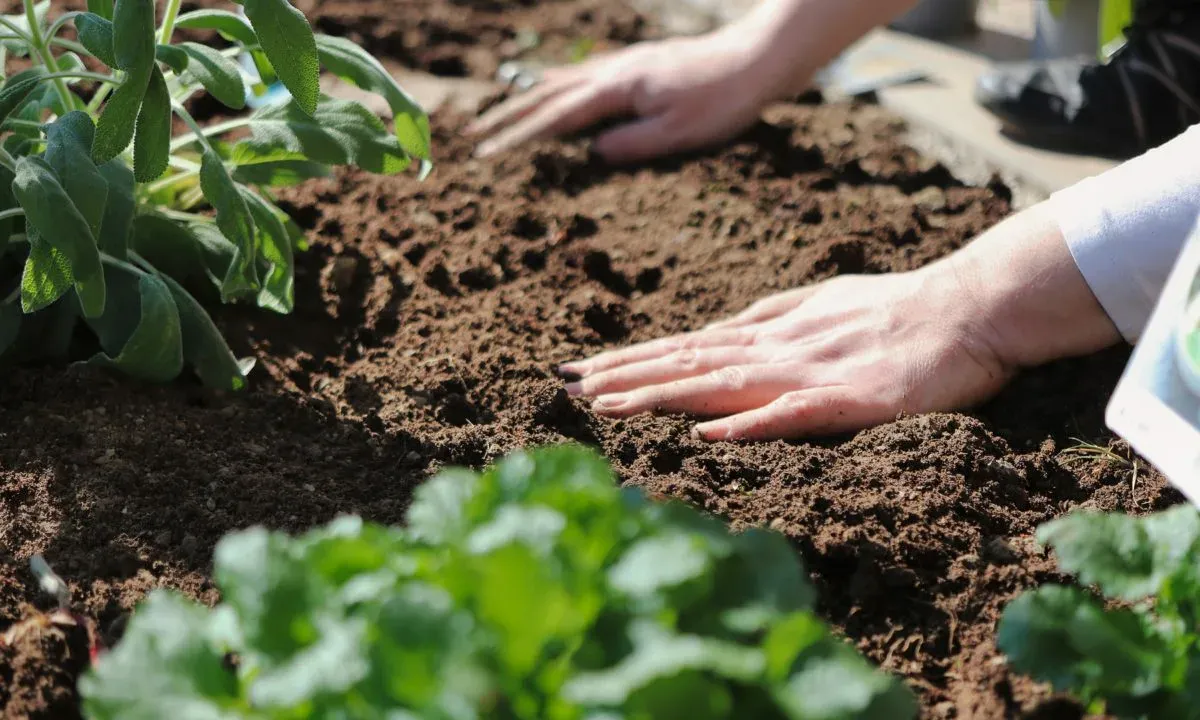Эти ошибки убивают ваш урожай — 90% дачников делают их каждый сезон