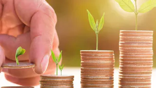 Сельхозпроизводители Владимирской области обеспечены льготными кредитами для весенней посевной