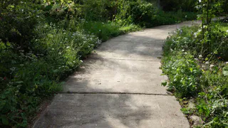 Мыльный бетон — новый тренд для дачи: как же сделать прочную и чистую дорожку за 1 день