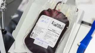 В Нижнекамске провели День донора