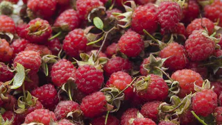 Эта ягода очень вредная: а мы едим ее каждый день как деликатес, еще и детям даём