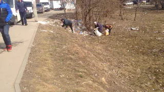Неравнодушные жители начали уборку свалки за маршуртчиками в Недостоеве
