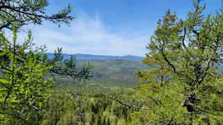 12 июля арктический воздух спасет Челябинскую область от аномальной жары
