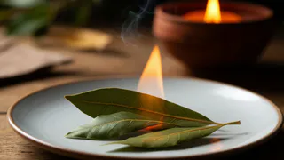 Зажгите лавровый лист в квартире - только единицы знают, для чего это нужно