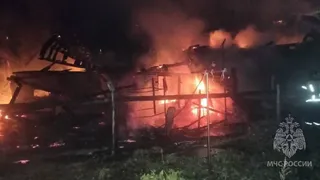 В Пензенской области прокуратура организовала проверку после гибели 7-летней девочки при пожаре