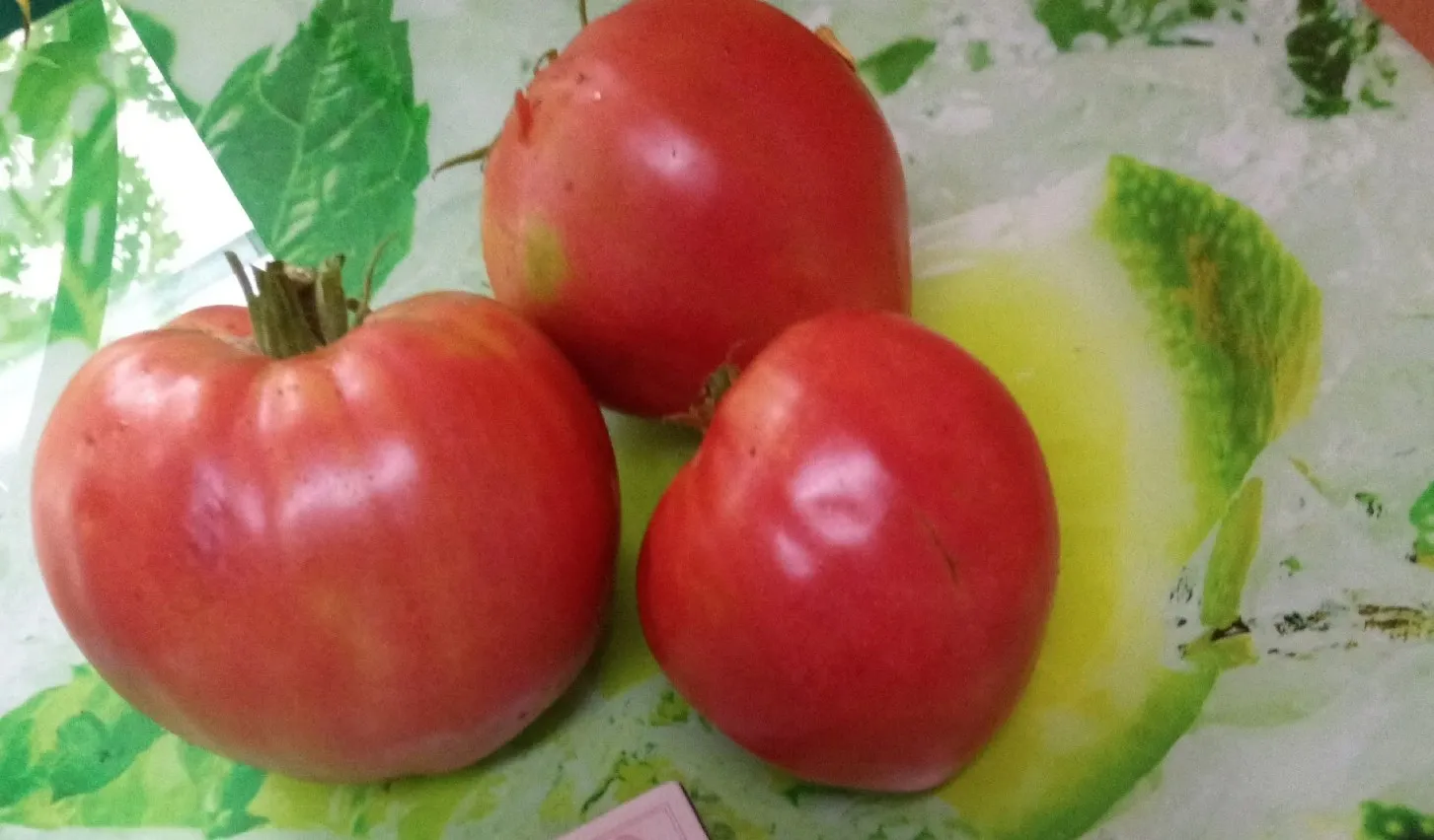 7 лучших сортов томатов - медовый вкус, от которого все в восторге. Не урожай, а загляденье