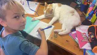 Мужское имя Александр - не греческое. Вот кто его придумал и что оно означает на самом деле