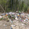 Полигон во Владимирской области заполонил отходами лес