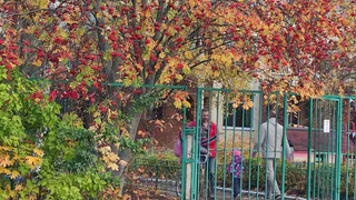2 сентября в школах Владимира пройдут уроки безопасности