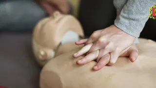 Во Владимире откроют «Семейную школу первой помощи»