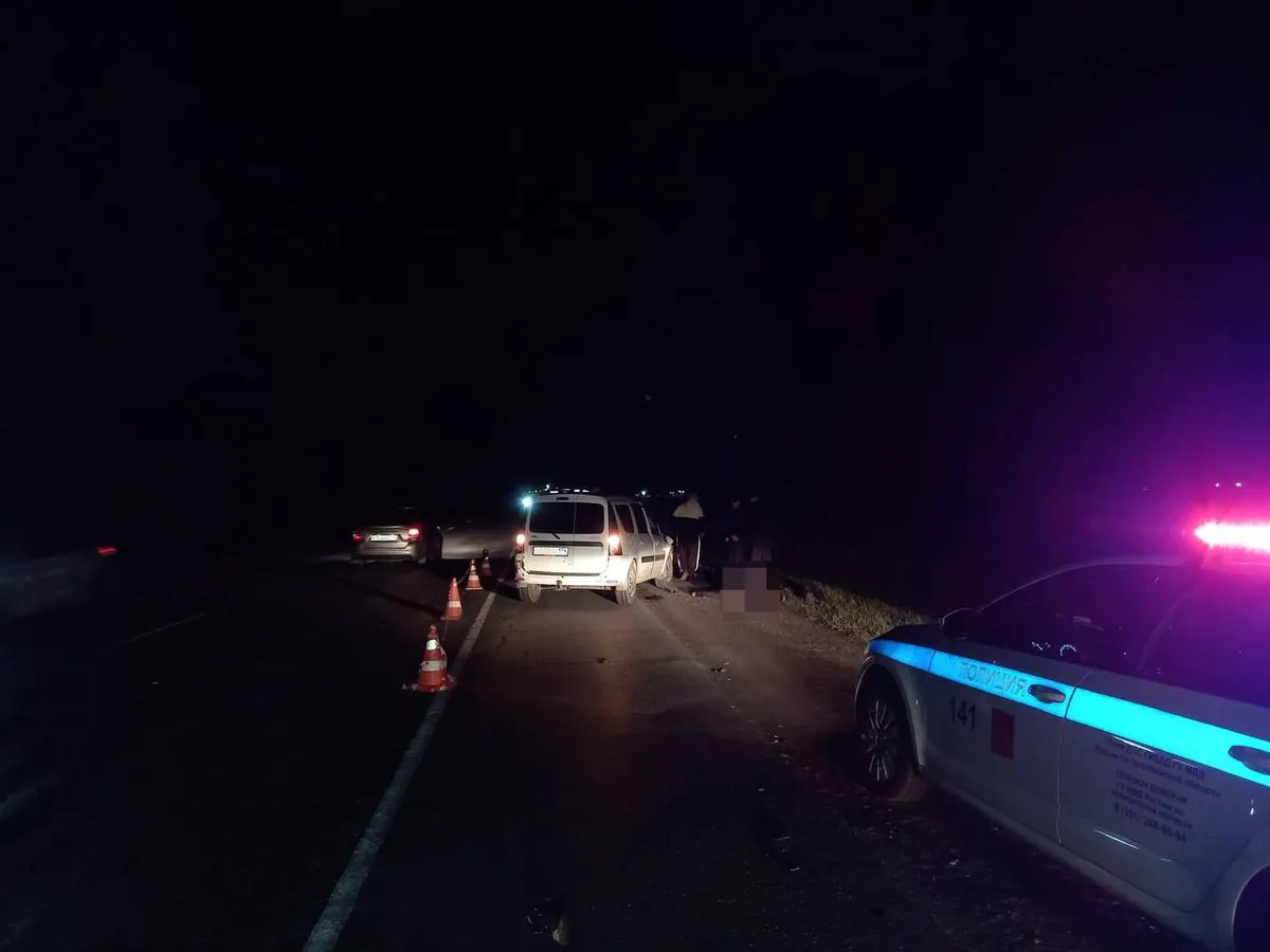 Ночная авария в Челябинской области: неосторожность пешехода привела к смертельному исходу