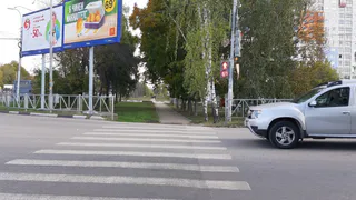 Рязанец сбил женщину и 3-летнего ребенка на пешеходном переходе