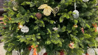 Глава Усинска подарил новогоднюю сказку детям из города Ровеньки