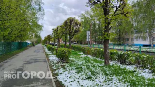 Это опасный сигнал: метеоролог Роман Вильфанд заявил, что на смену Эль-Ниньо идет Ла-Нинья