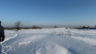 Татарстан избежит нашествия саранчи в 2026 году, но другие регионы под ударом