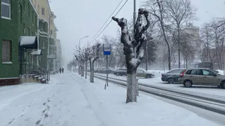 «Этой зимой начнется то, чего не было с 1772 года». Синоптики предупредили, к чему стоит готовиться