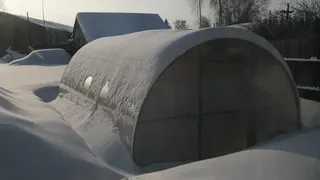 Если вы живете в средней полосе, то вам не нужна теплица - 5 причин