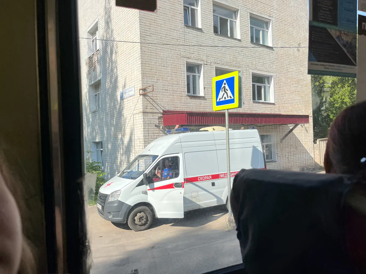 В посёлке Татарстана стая из 11 собак жестоко искусала 9-летнюю девочку