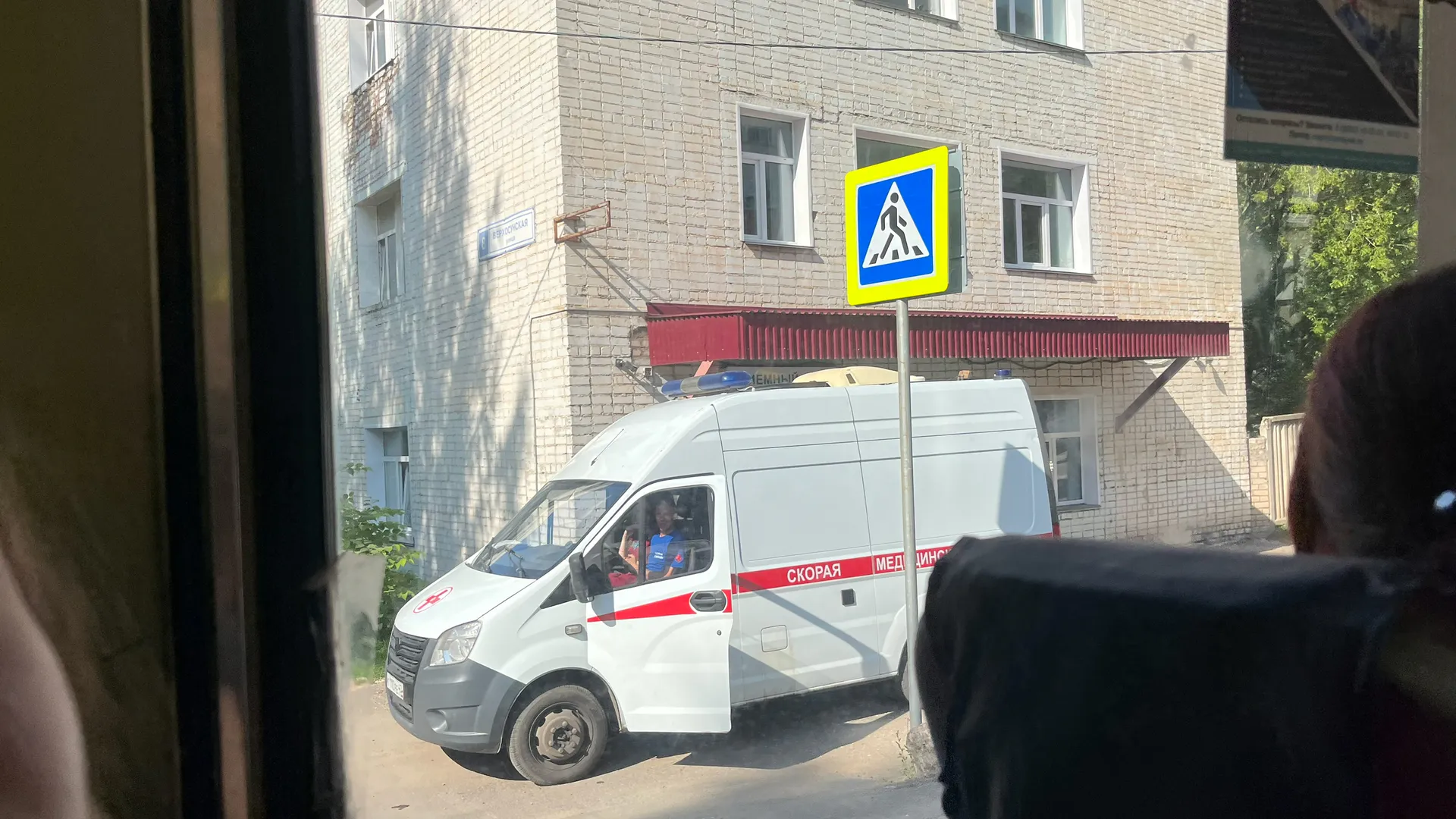 В посёлке Татарстана стая из 11 собак жестоко искусала 9-летнюю девочку
