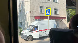 В посёлке Татарстана стая из 11 собак жестоко искусала 9-летнюю девочку