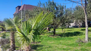 "Попрошайки и разгромленные дома": россиянин оставил честный отзыв об отдыхе в Абхазии