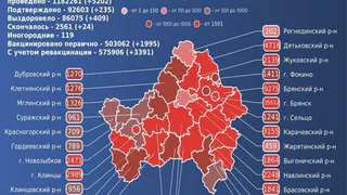 24 брянца скончались от коронавируса за сутки