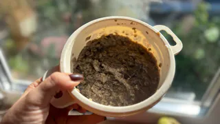 Вкуснейшая икра из опят: лучшая закуска на зиму - намазал на хлеб и семья довольна