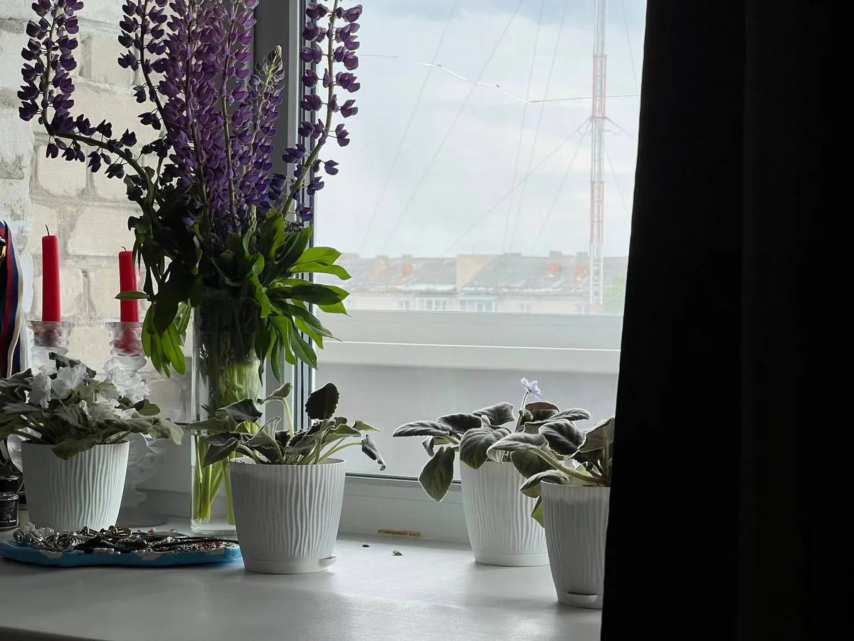 Незаметные убийцы в доме: 10 вещей, которые значительно сокращают жизнь — запомните раз и навсегда