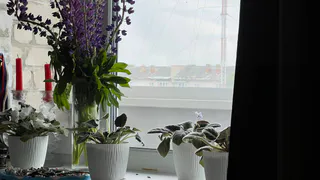 В доме скрыты вампиры: 6 вещей, которые ежедневно влияют на ваше здоровье