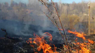 5 октября в Пензе ожидается чрезвычайная пожарная опасность