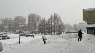 "Начало апреля подложит нам всем свинью". Синоптики поменяли свой прогноз
