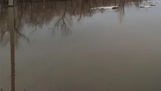 В Рогнединском районе затопило дорогу