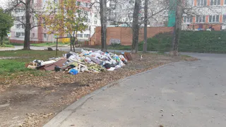 "Во дворе постоянно крысы и собаки" - на улице Гоголя разрастается свалка