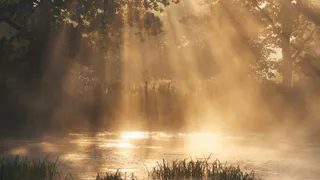 Жителей Брянской области 6 октября ожидает температура до +17 градусов