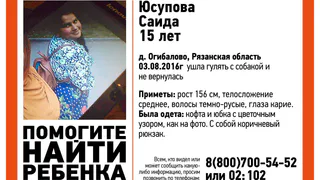 В Рыбновском районе девочка ушла гулять с собакой и не вернулась