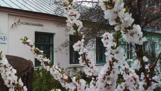 Аномальная жара нагрянет в феврале: синоптики сообщают о новых погодных сюрпризах