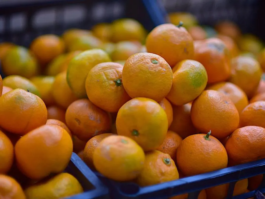 Новогодний фрукт обойдется в 500 рублей за кило