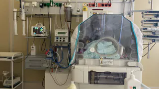 Рязанский минздрав опубликовал число родившихся за год с помощью ЭКО детей