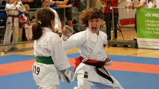 Сётокан каратэ – восточное боевое единоборство для детей думающих родителей