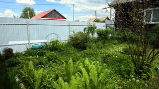 Насыпаем 4 стакана – и к выгребной яме все подходят, не морща нос: теперь только запах свежести – эффективно и дёшево