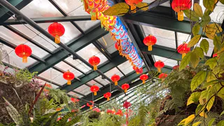 Как выглядит город в Китае, где зимуют русские пенсионеры: туроператоры об этом не расскажут