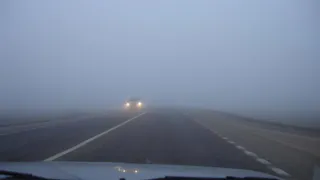 25 апреля в Рязанской области объявили метеопредпреждение о тумане