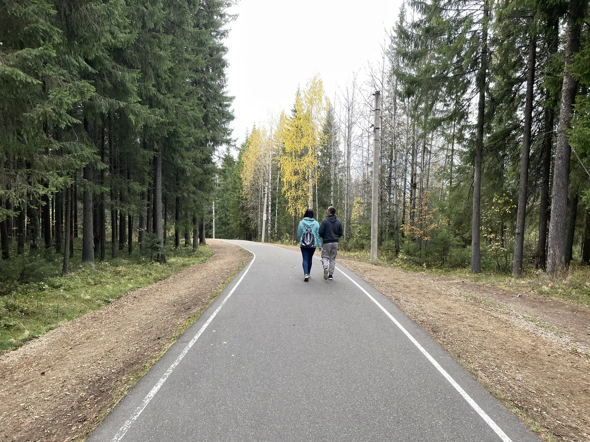 Раскрутят золотое колесо фортуны: астролог Глоба назвал 3 знака Зодиака, которые станут единственными любимчиками осени