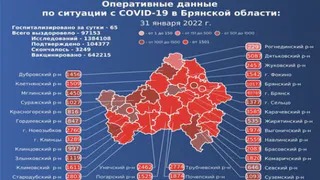 За сутки коронавирусом заразились 930 брянцев