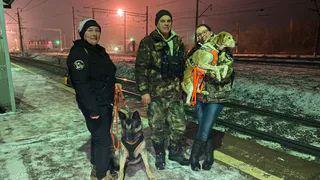 В Рязанской области собака помогла найти пропавшую бабушку