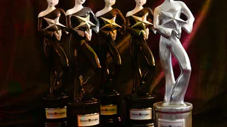 Три номинанта из 33 региона - в лонг-листе российской премии «Звезда театрала»