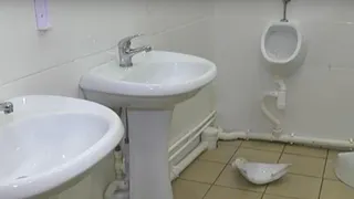 Кто ответит за беспорядки в парке «СемьЯ»?