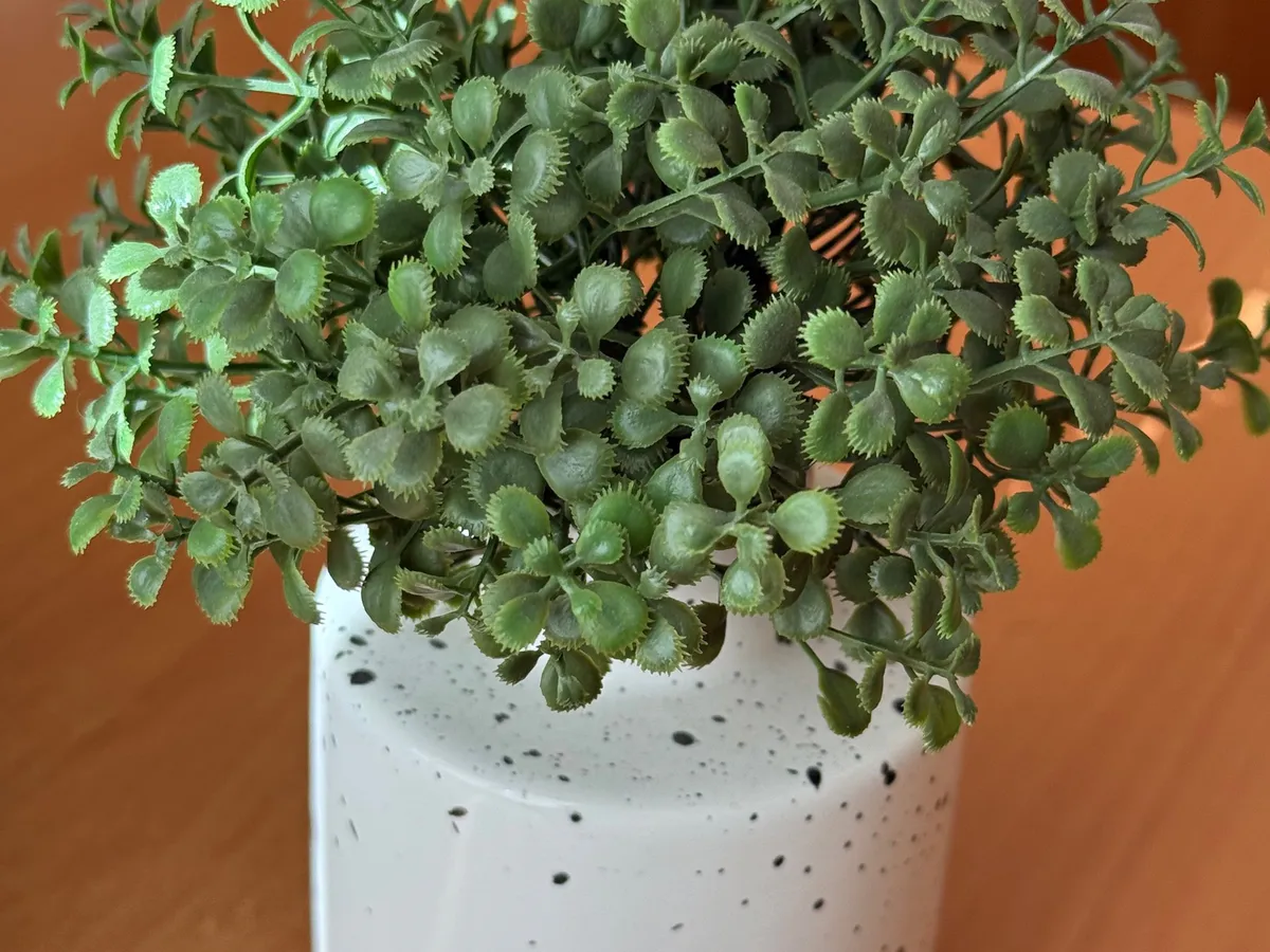 Жительница Магнитогорска потеряла 45 000 рублей при покупке цветов