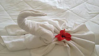 Не тратьте время на вываривание полотенец: 2 ложки на таз - и они станут как новые